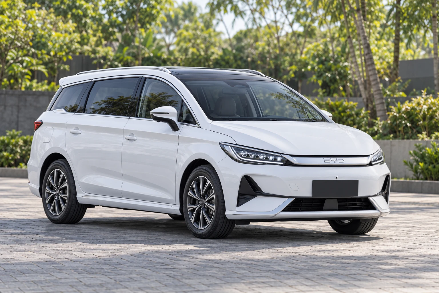 BYD M6